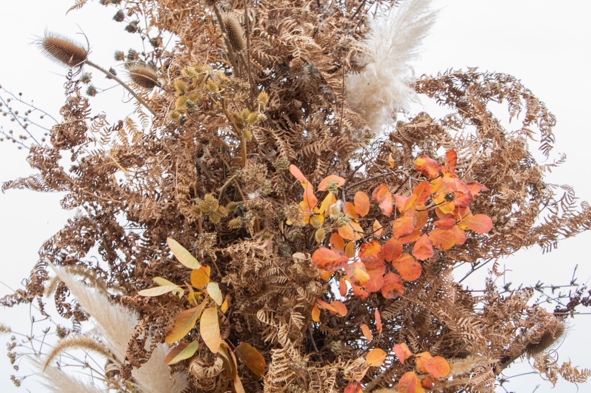 Autumnal dried flower arrangement with orange leaves
