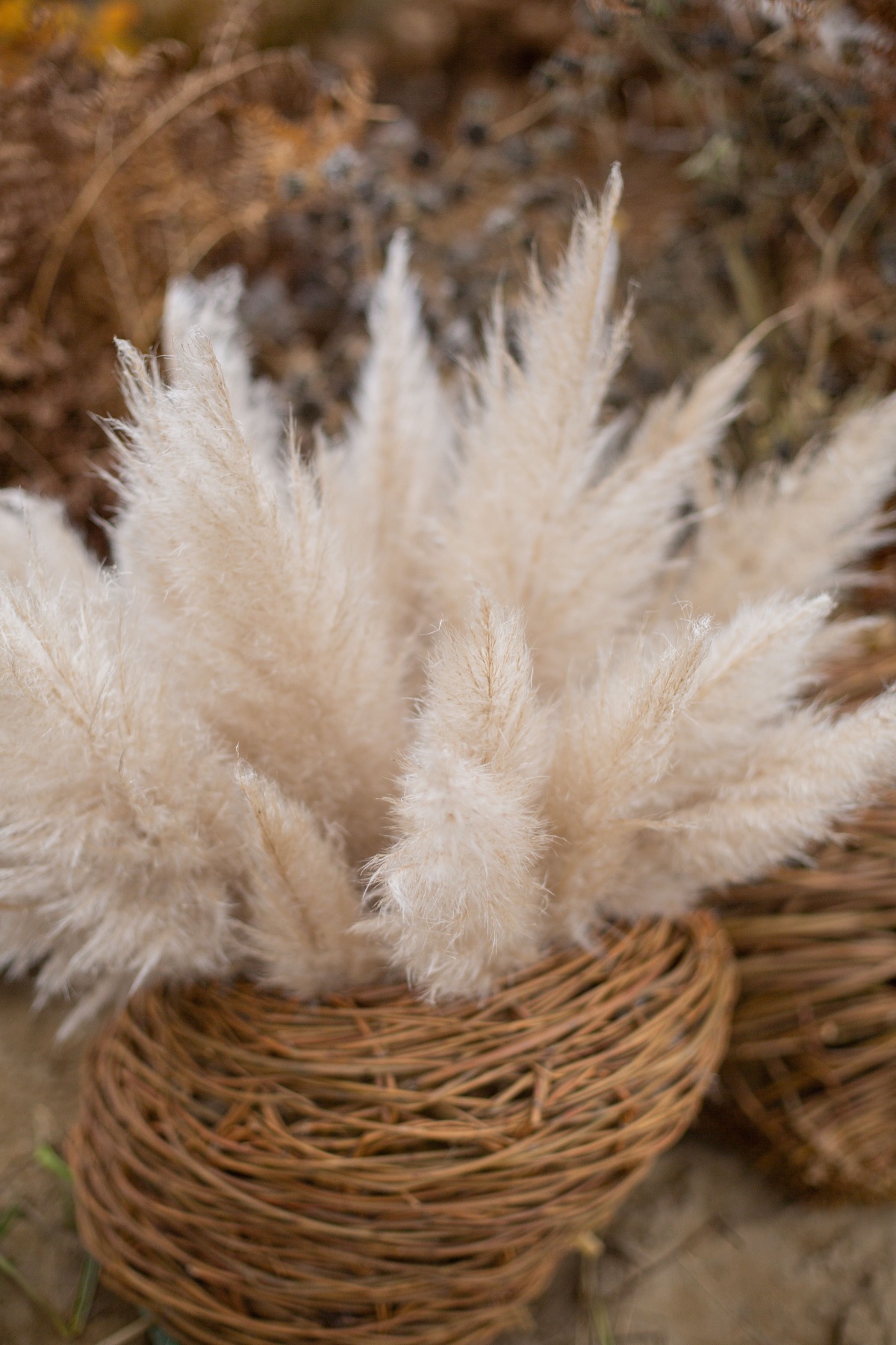 Pampas grass in woven basket decorative arrangement