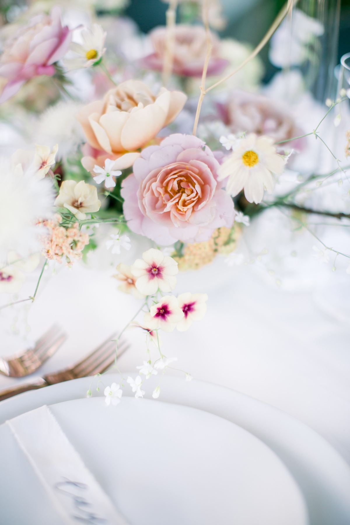 de_joy_photography-91