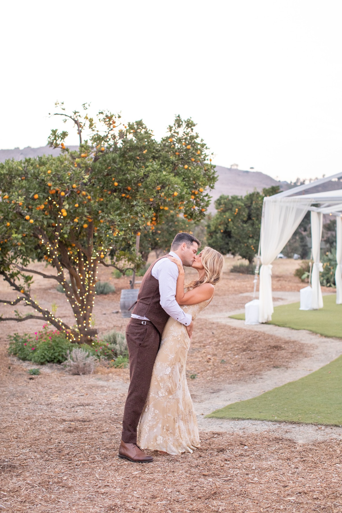 Newlyweds share a romantic kiss under a tree at an outdoor wedding