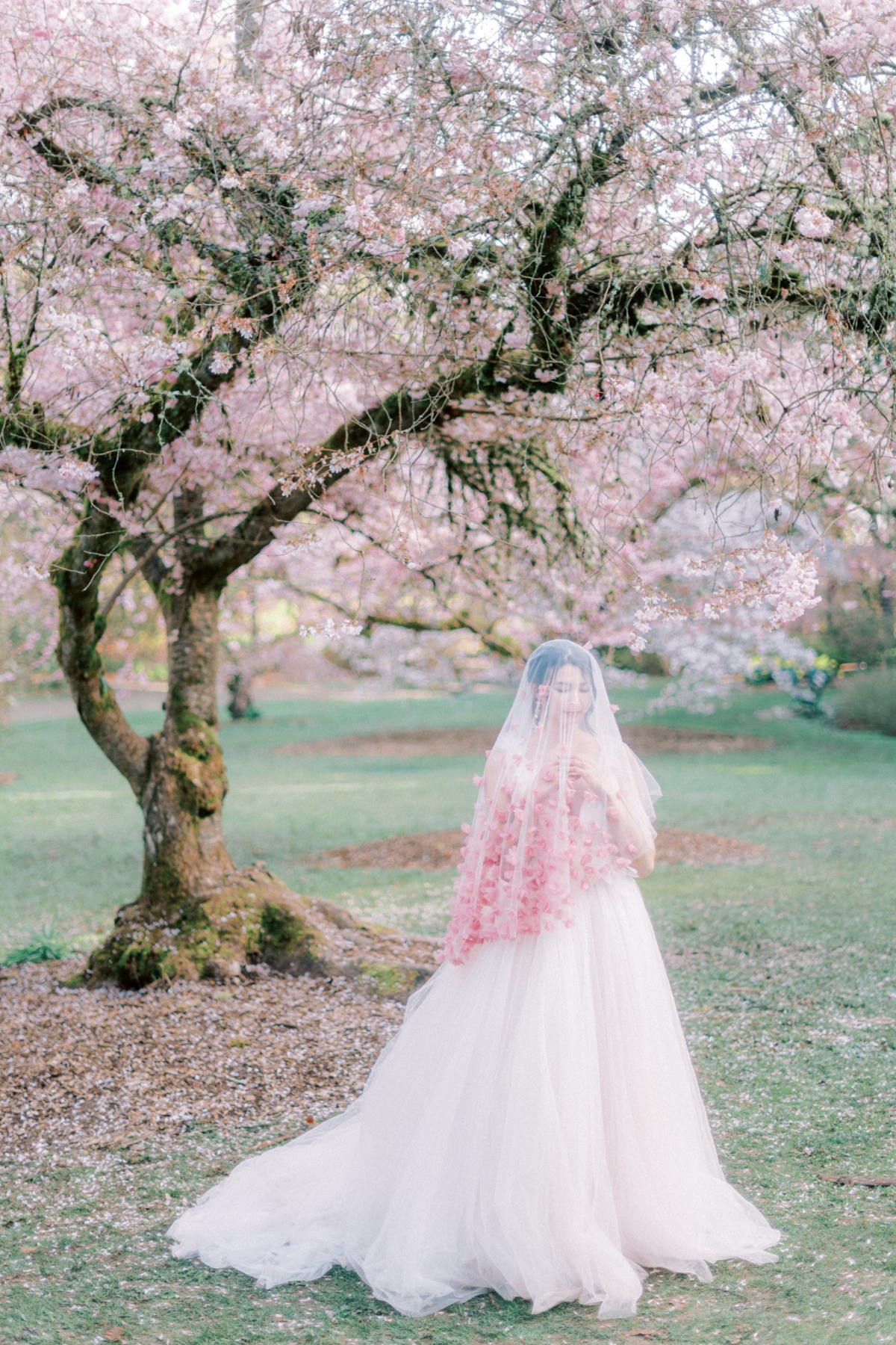 michellia-fine-imagery-spring-cherry-blo