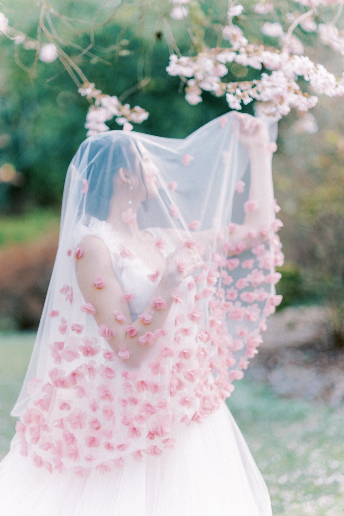 michellia-fine-imagery-spring-cherry-blo