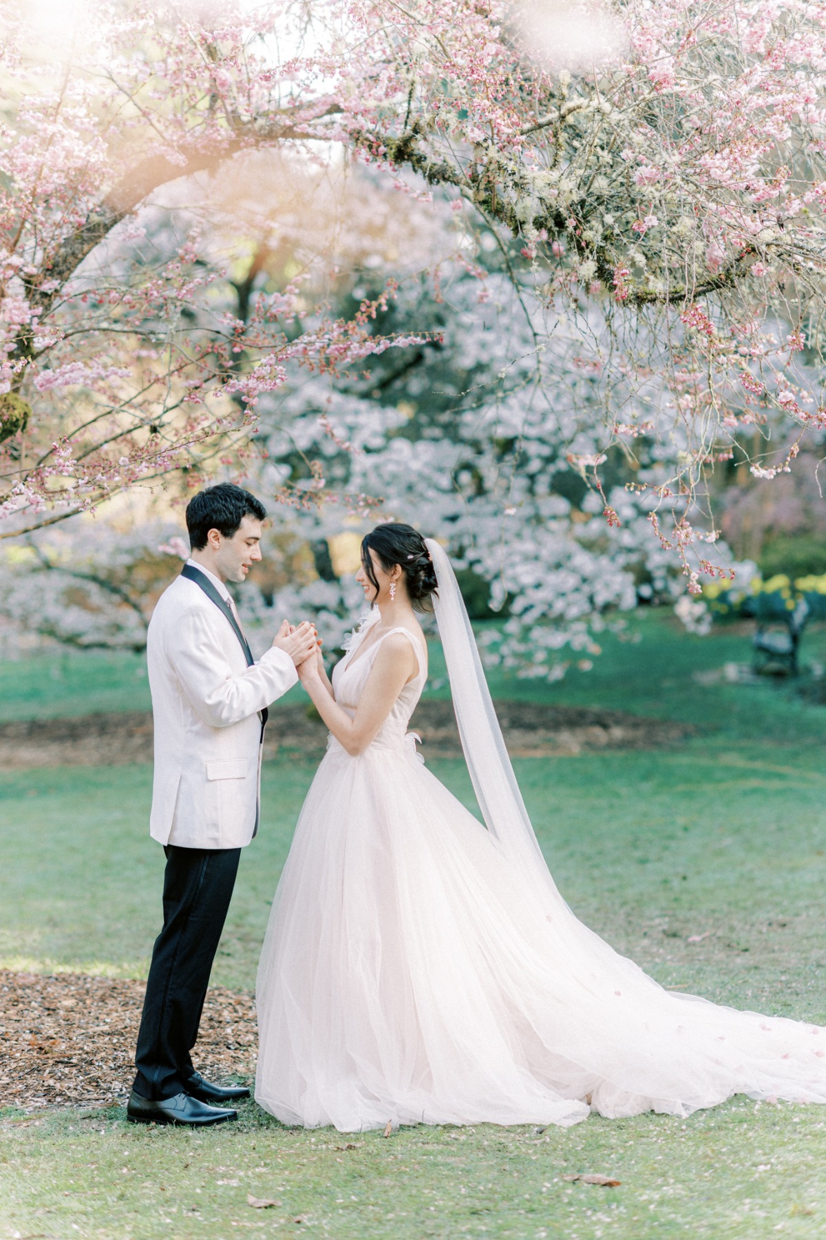 michellia-fine-imagery-spring-cherry-blo