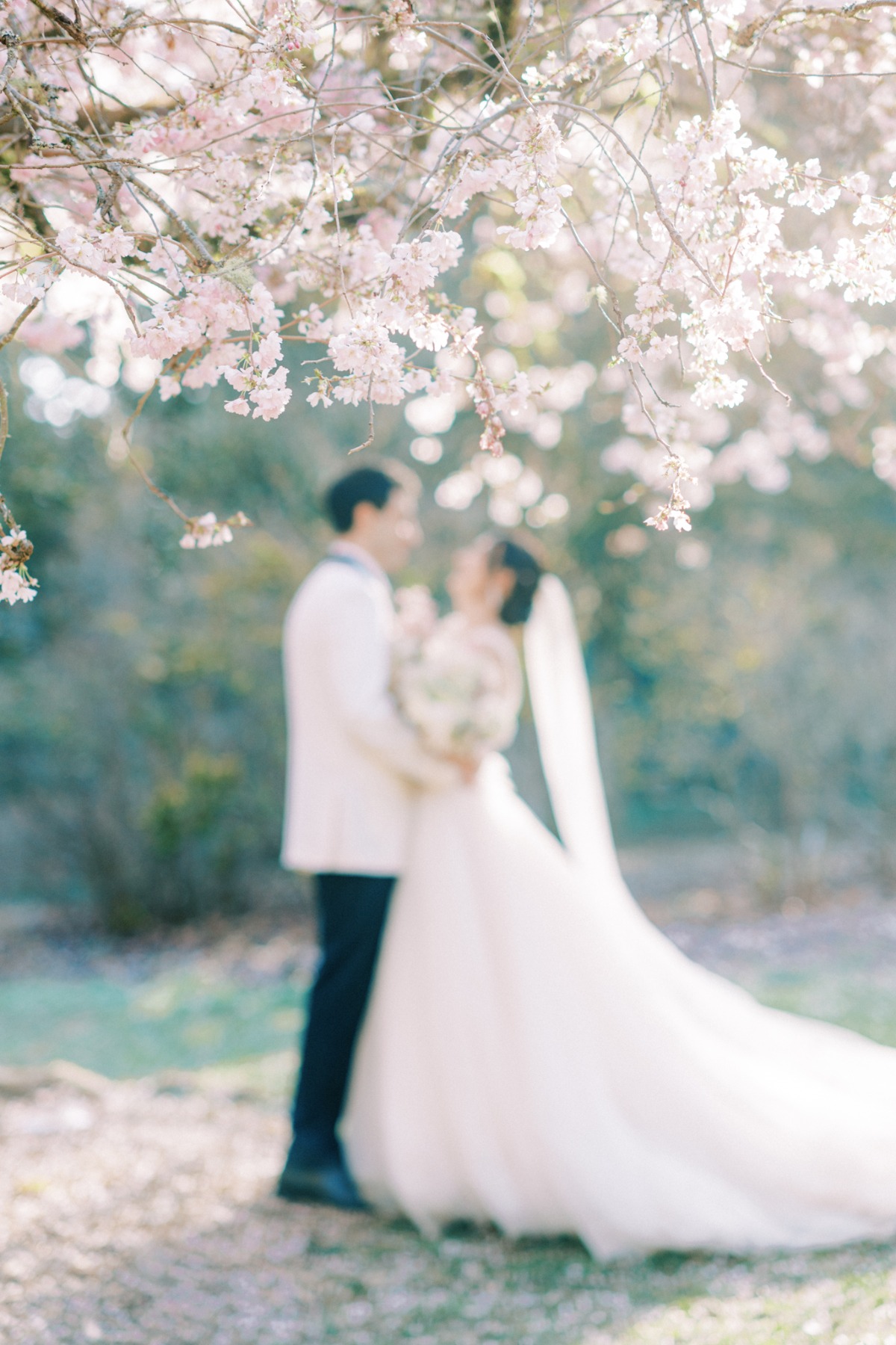 michellia-fine-imagery-spring-cherry-blo