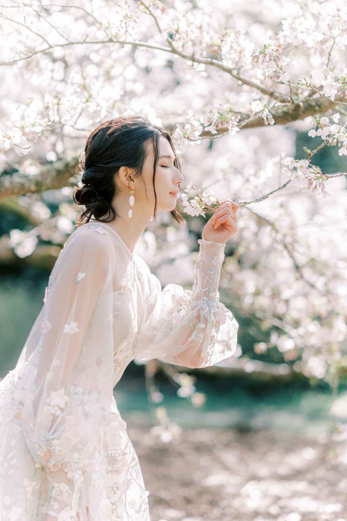 michellia-fine-imagery-spring-cherry-blo
