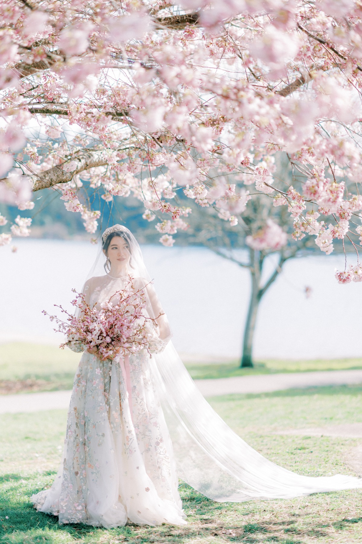 michellia-fine-imagery-spring-cherry-blo