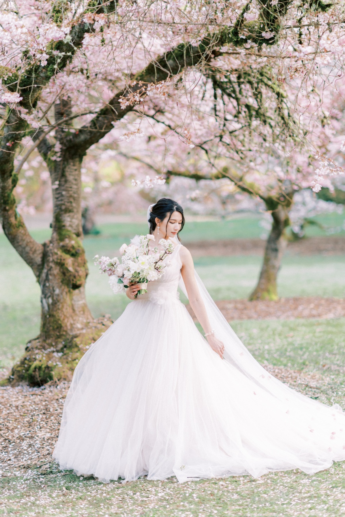 michellia-fine-imagery-spring-cherry-blo