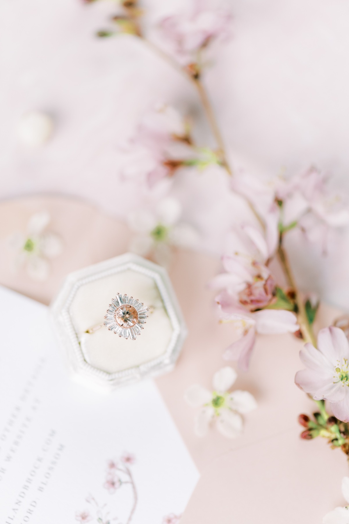 michellia-fine-imagery-spring-cherry-blo