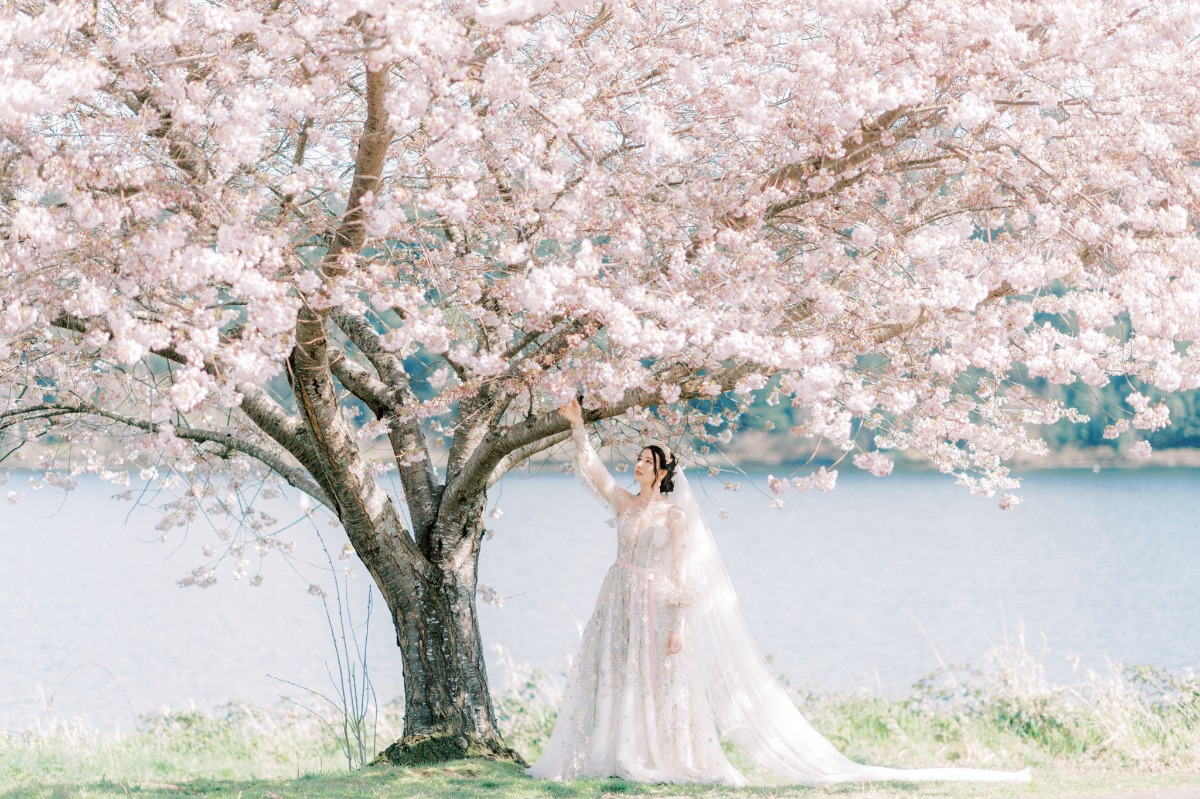 michellia-fine-imagery-spring-cherry-blo