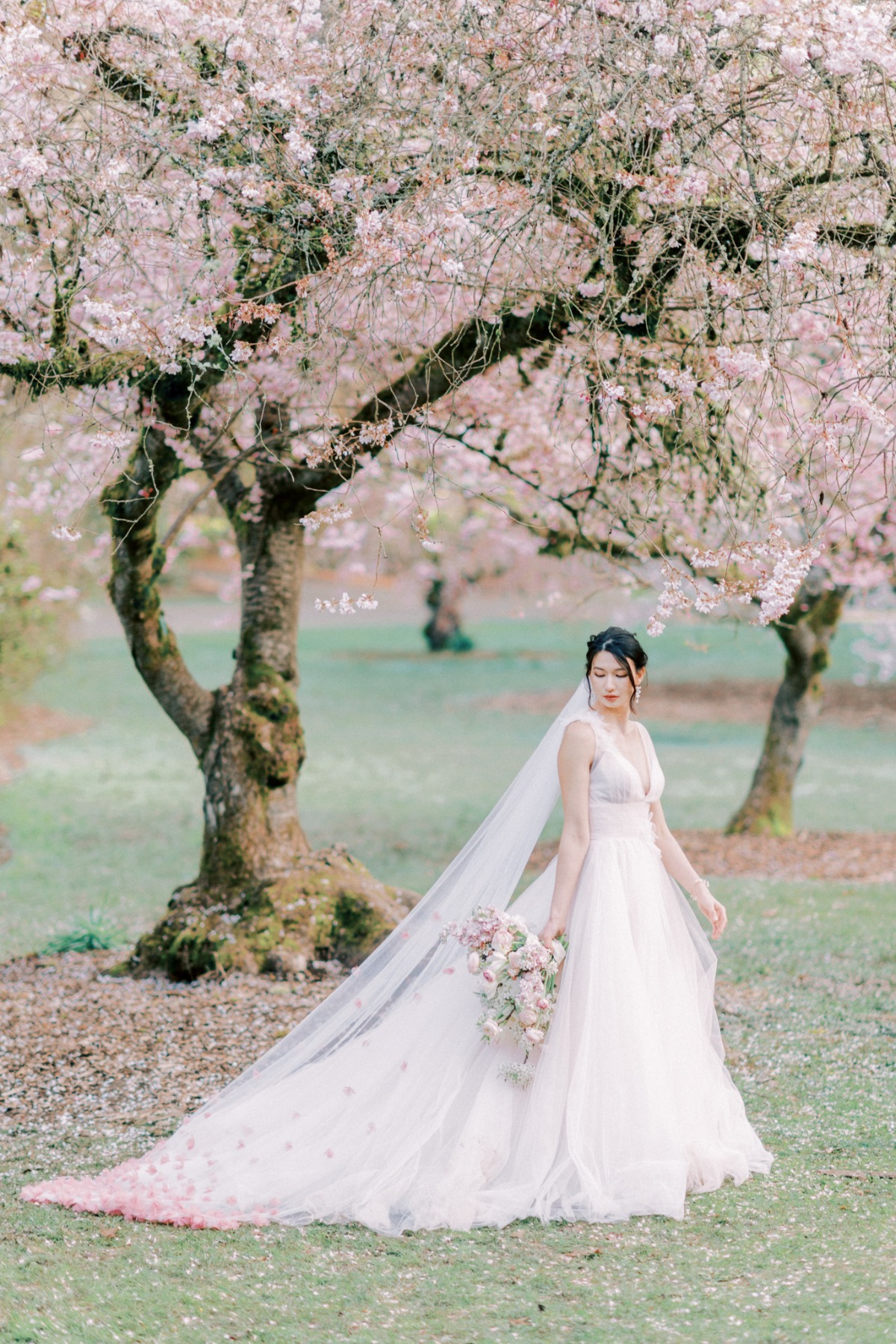 michellia-fine-imagery-spring-cherry-blo