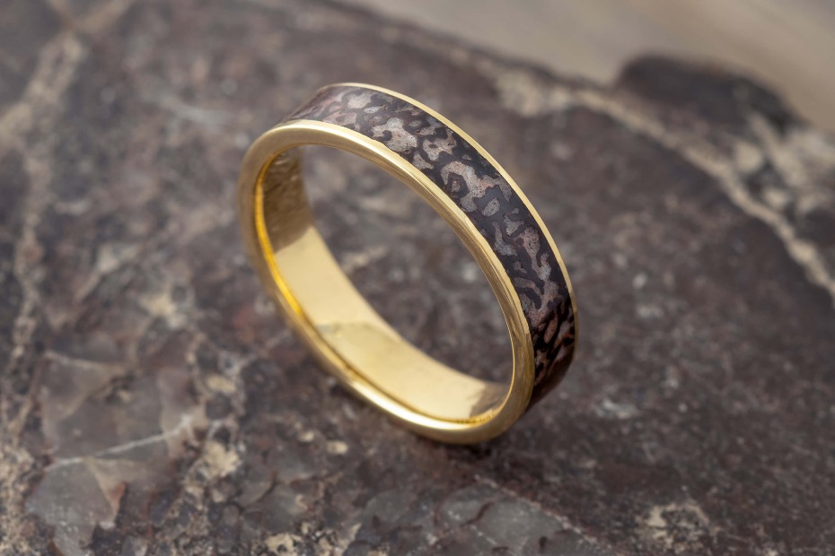 A Dinosaur Gemstone On Your Finger Guarantees Youâll Always Have the Rarest [Ring] In the Room