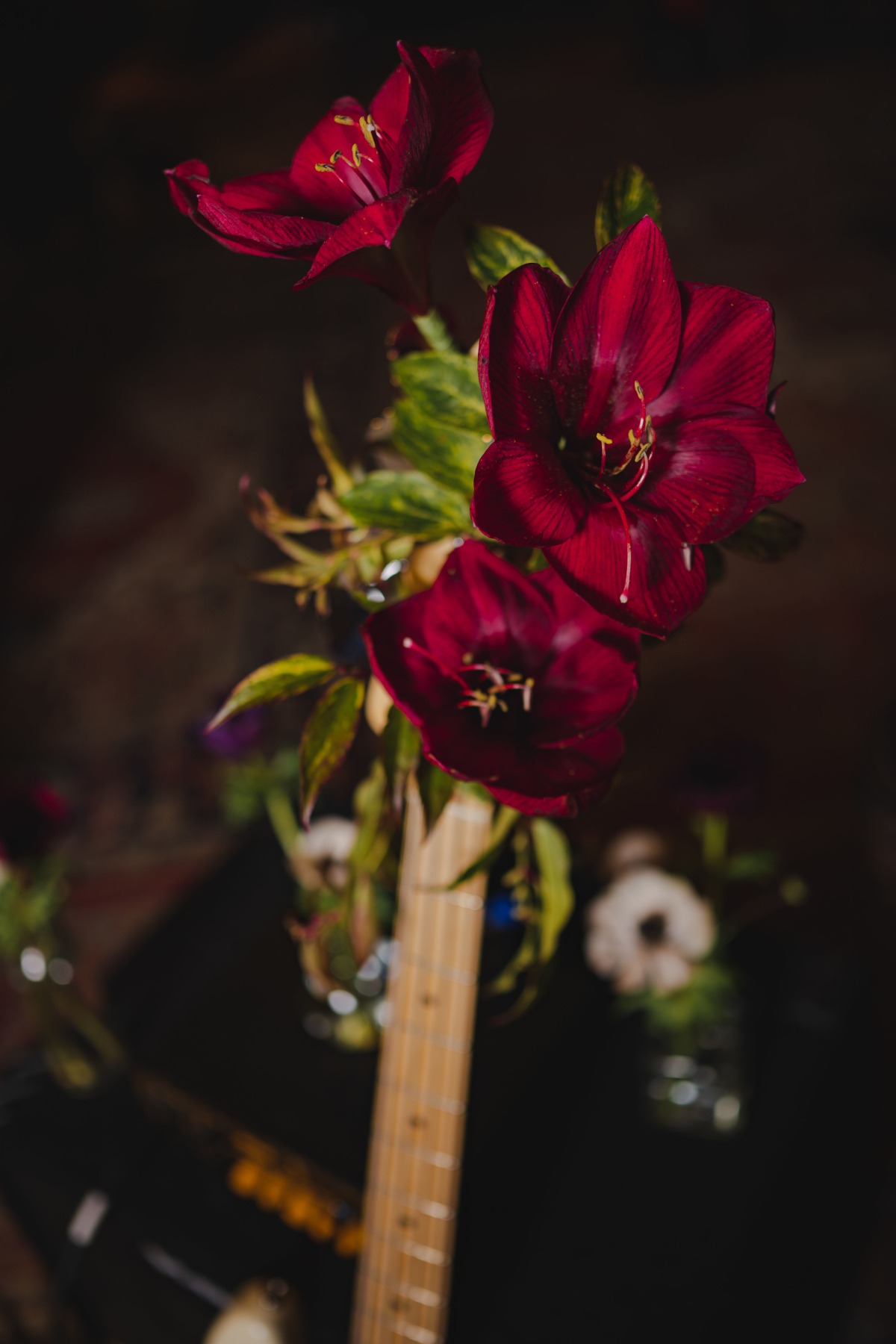 120420_hob_styled_shoot-217