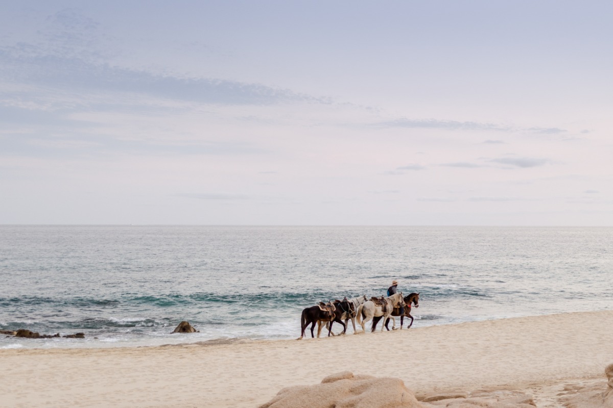 cabo_wedding_photographer_solaz_los_cabo