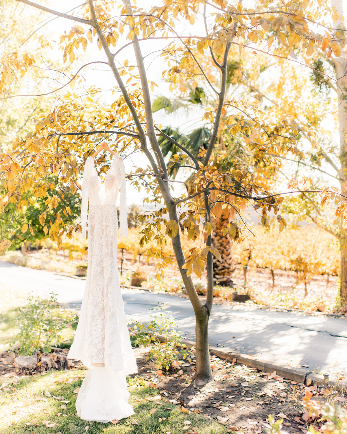 kellymariephotography_scribnerbend_submi