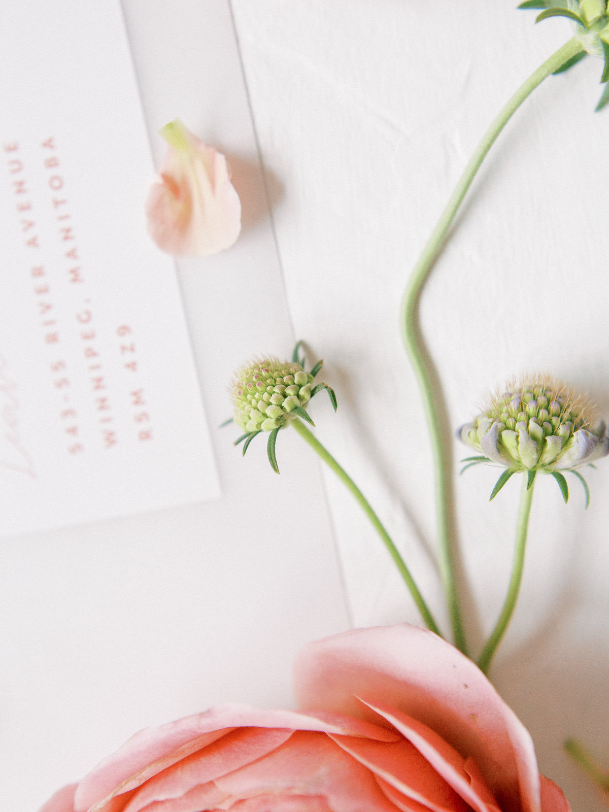 stonehouse-creative-editorial-esther-fun