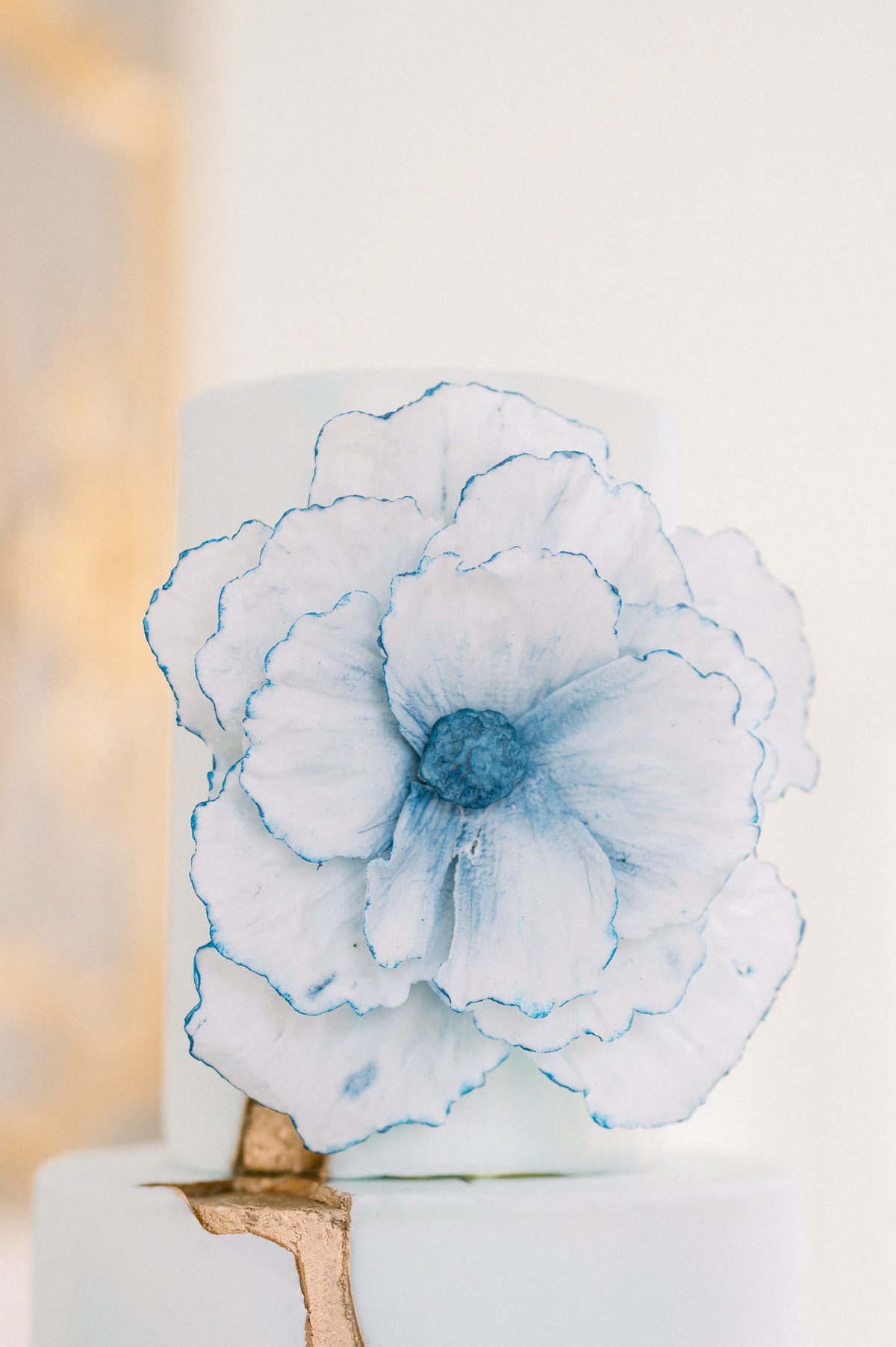 elopement-chateau-de-saint-felix-delphin