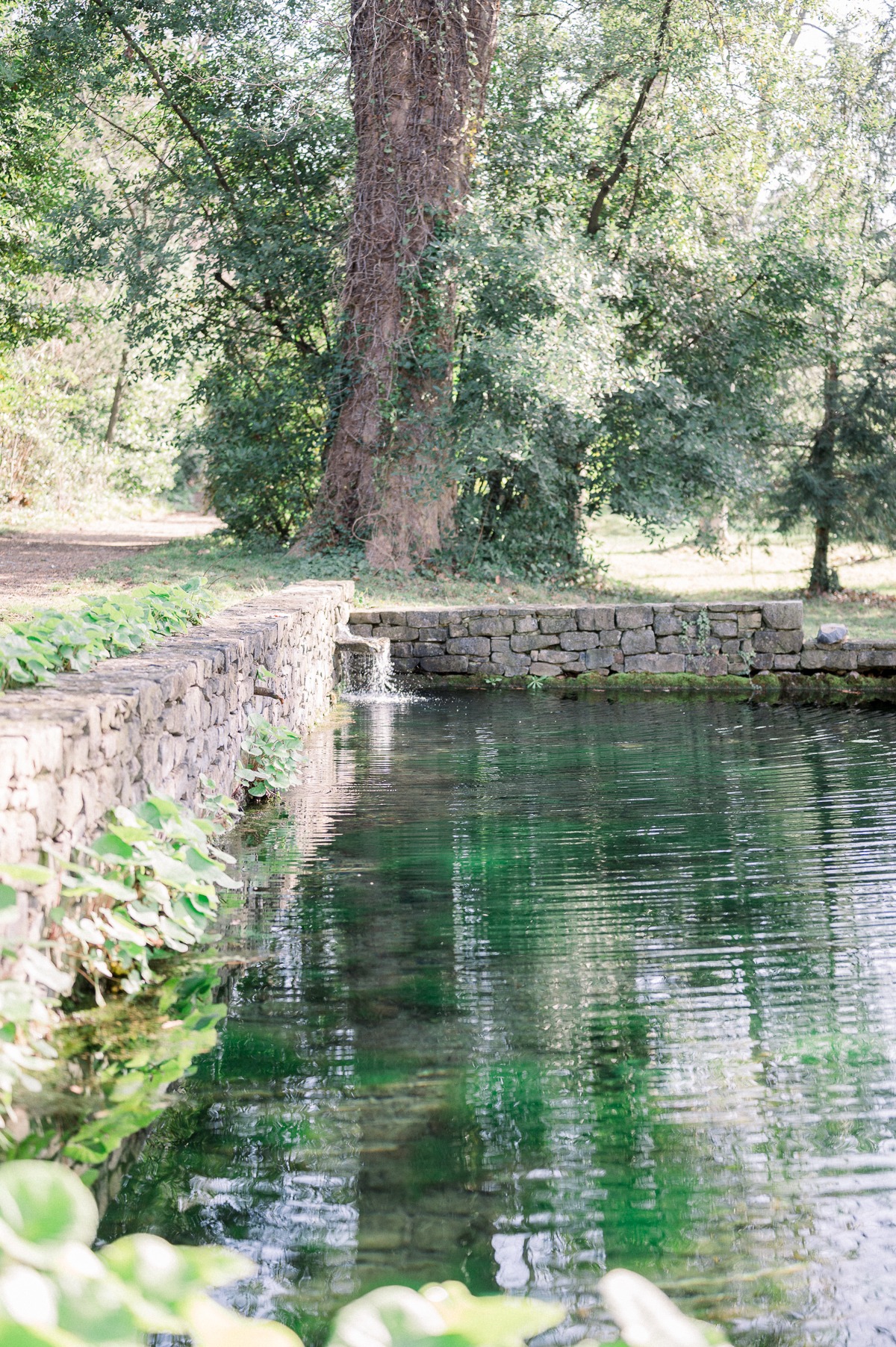 elopement-chateau-de-saint-felix-delphin