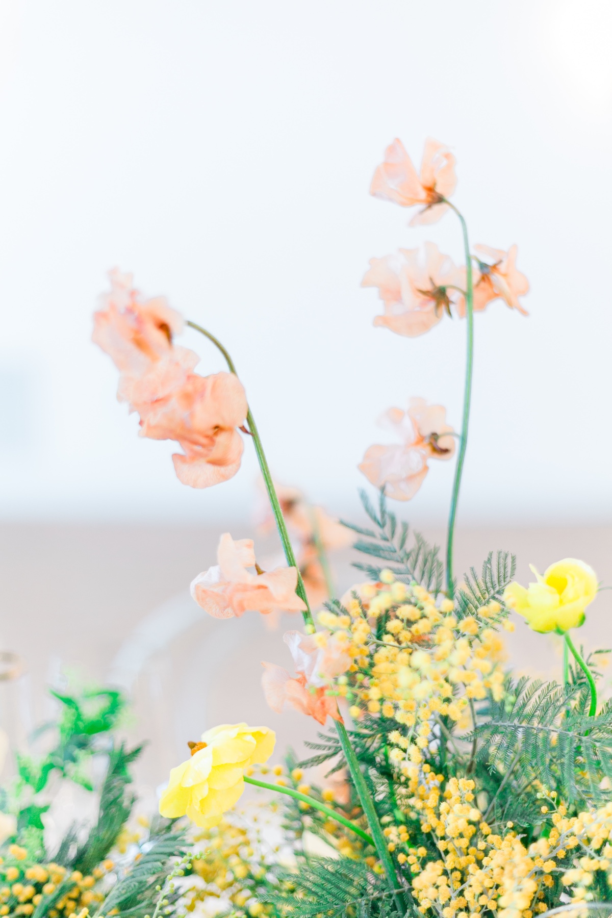 hellohoney-215