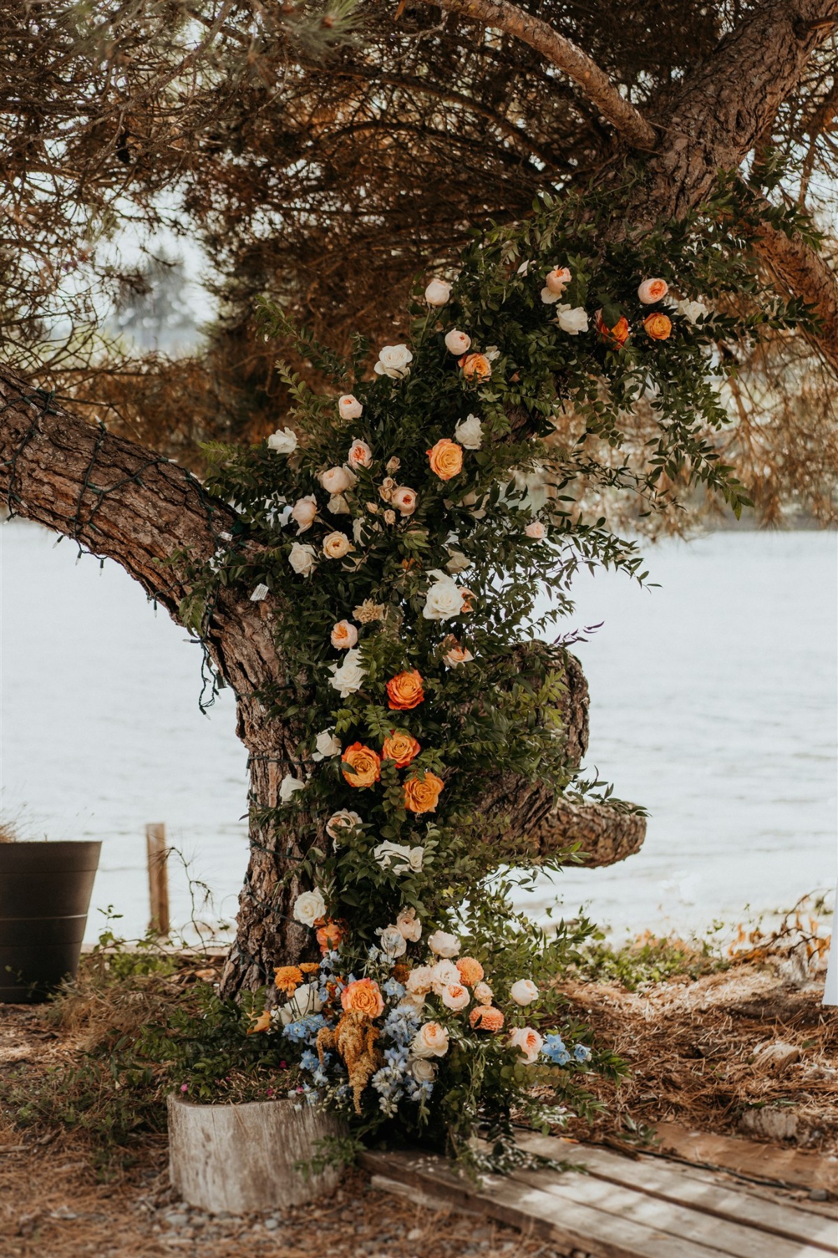 taylor-bilal-wedding-18