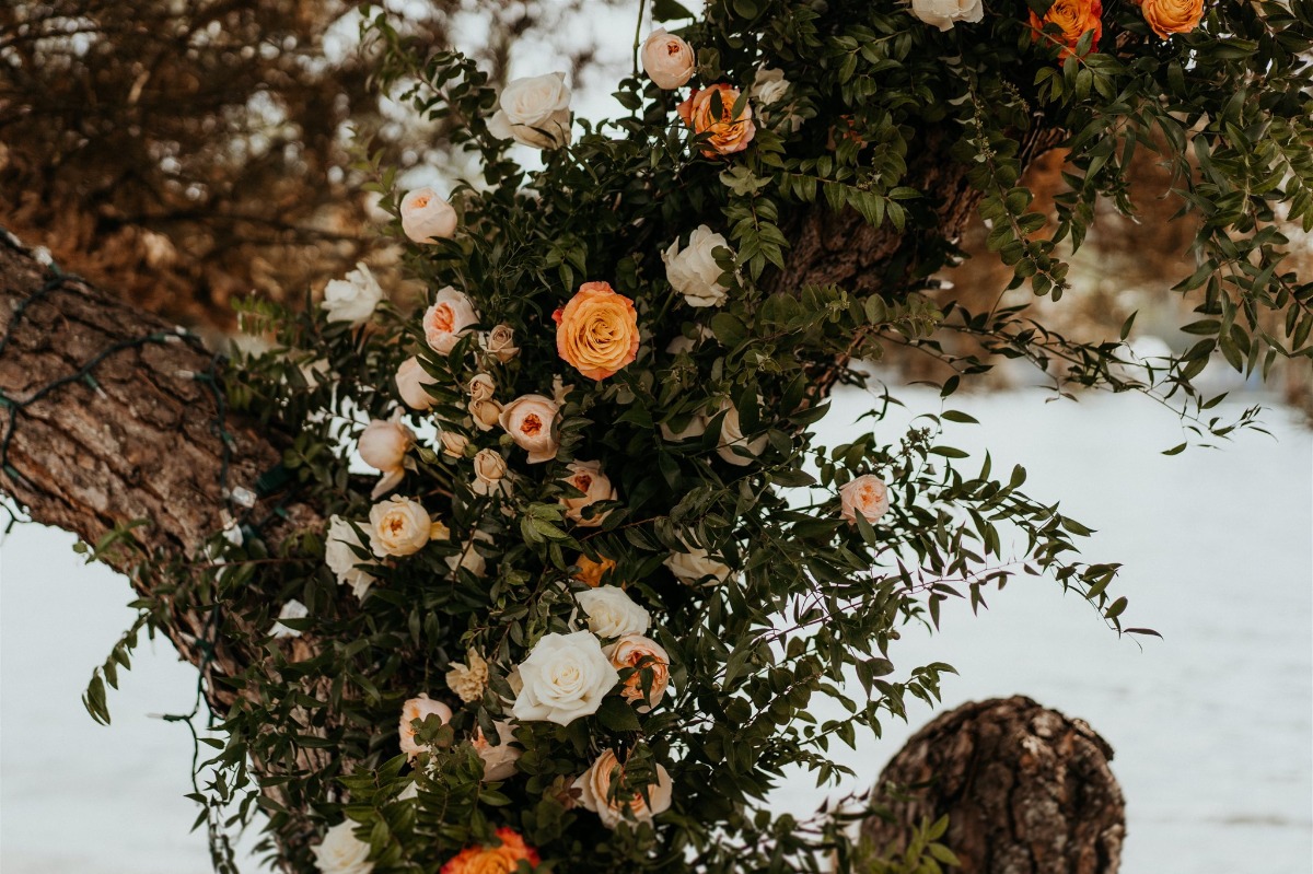 taylor-bilal-wedding-19