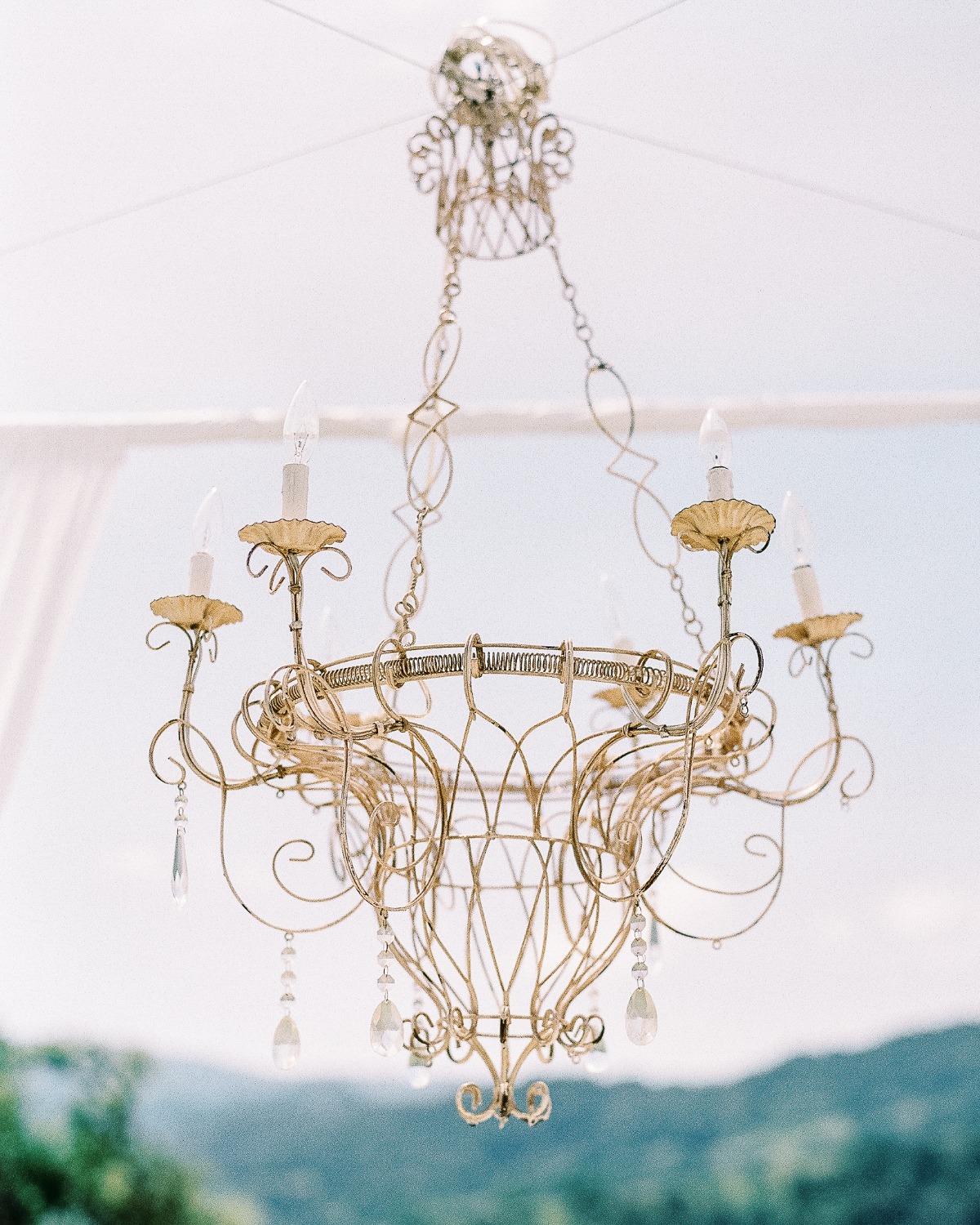 the-fourniers-garden-elegance-at-sunston