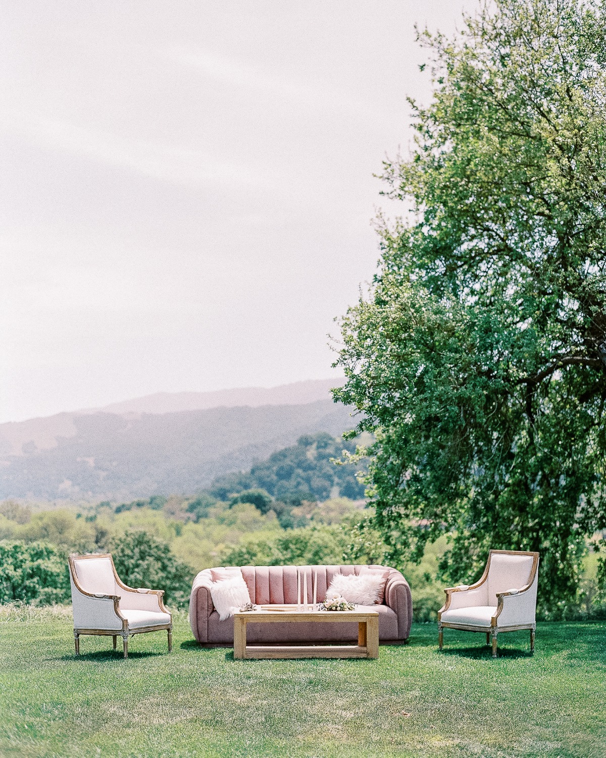 the-fourniers-garden-elegance-at-sunston