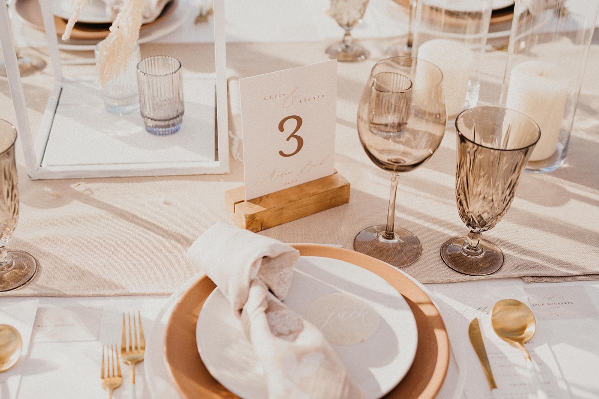 alexiachristopher-cabo-wedding-photograp