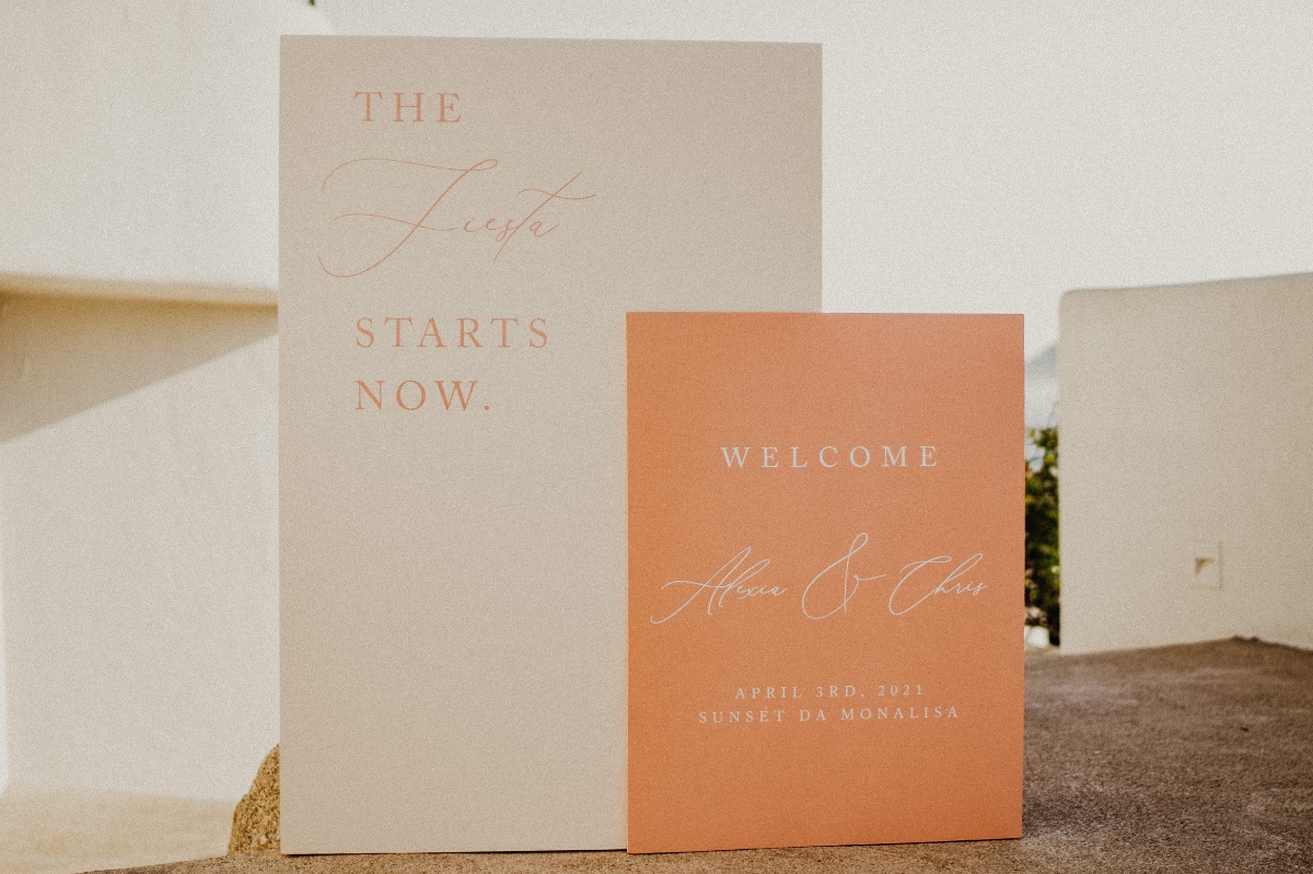 alexiachristopher-cabo-wedding-photograp