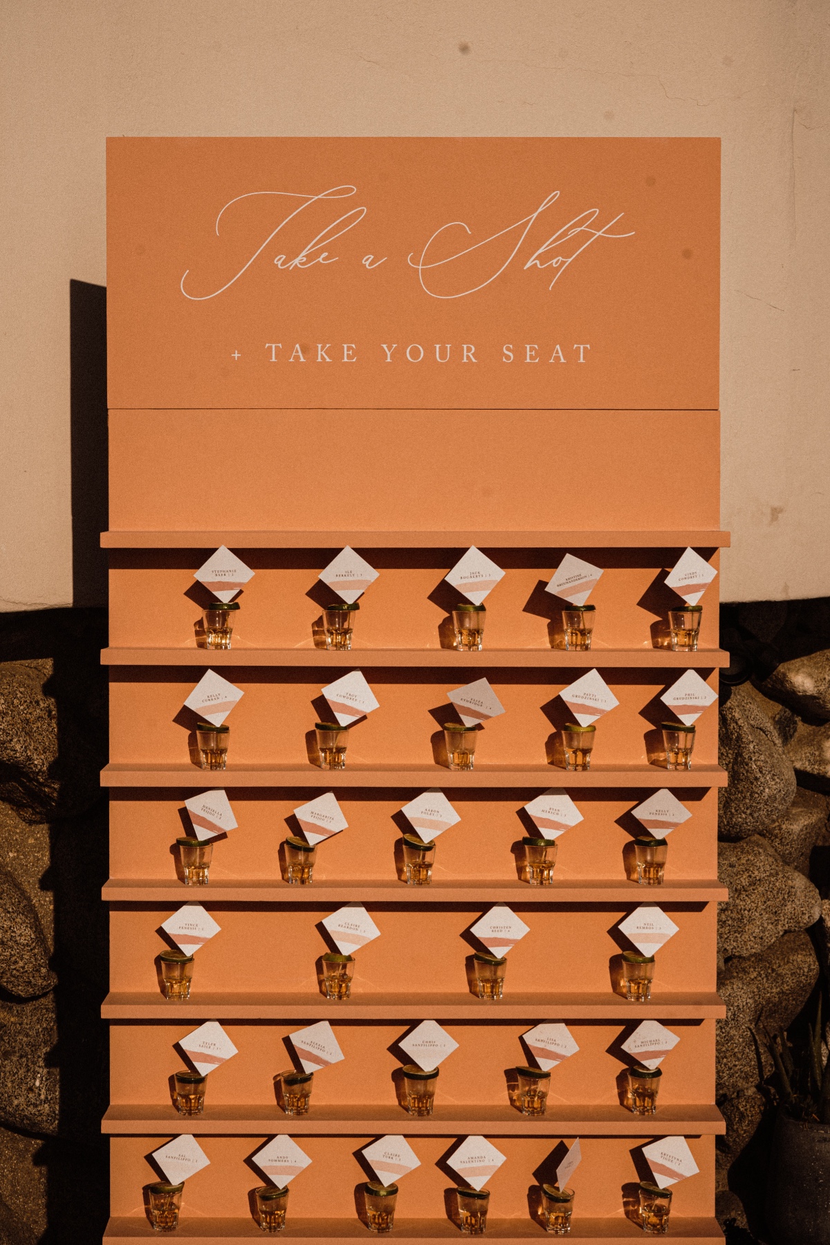 alexiachristopher-cabo-wedding-photograp