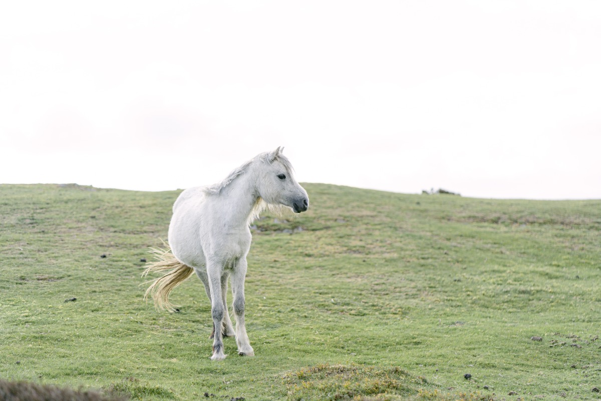 luxury-elopement-photographer-in-the-eng