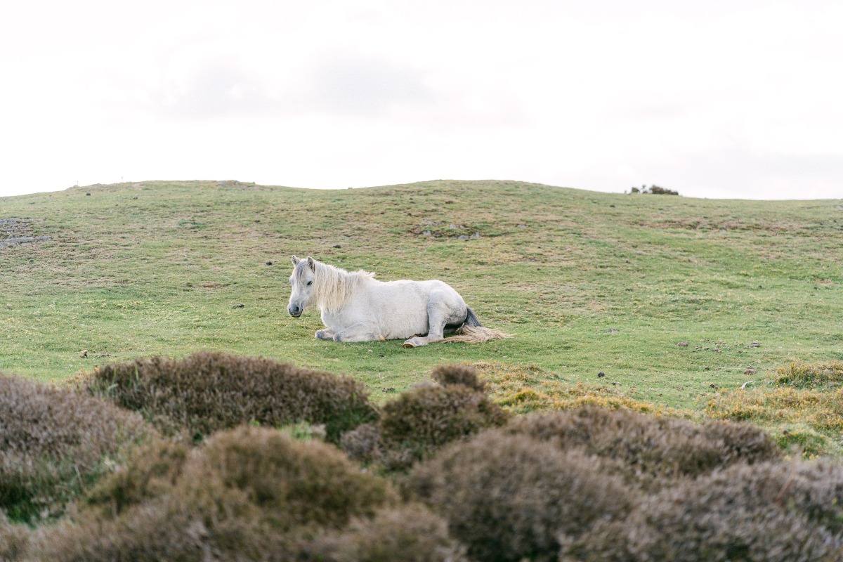 luxury-elopement-photographer-in-the-eng