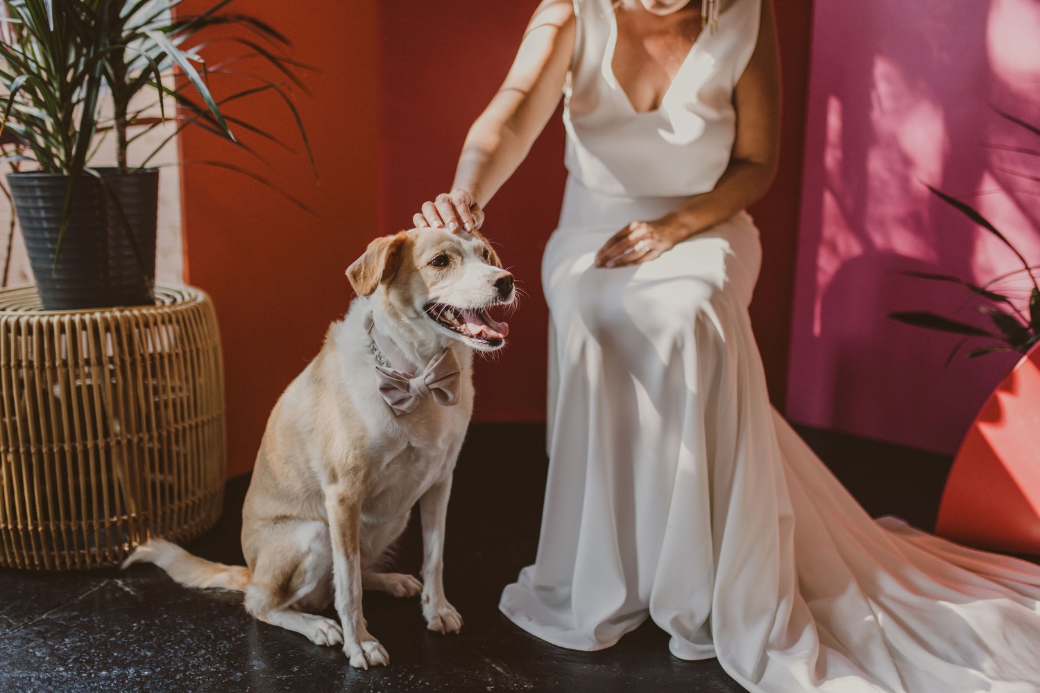 the-big-fake-wedding-latest