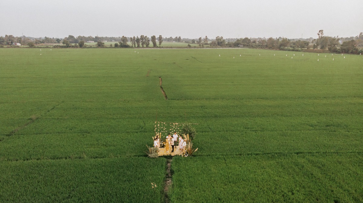 Wedding ceremony amid endless rice fields landscape
