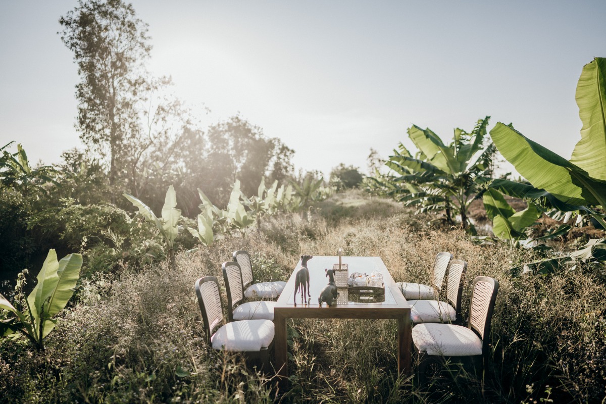 Outdoor dining table in lush tropical field at sunset