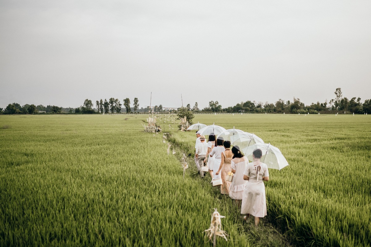 Bridesmaids walk through a rice field with umbrellas