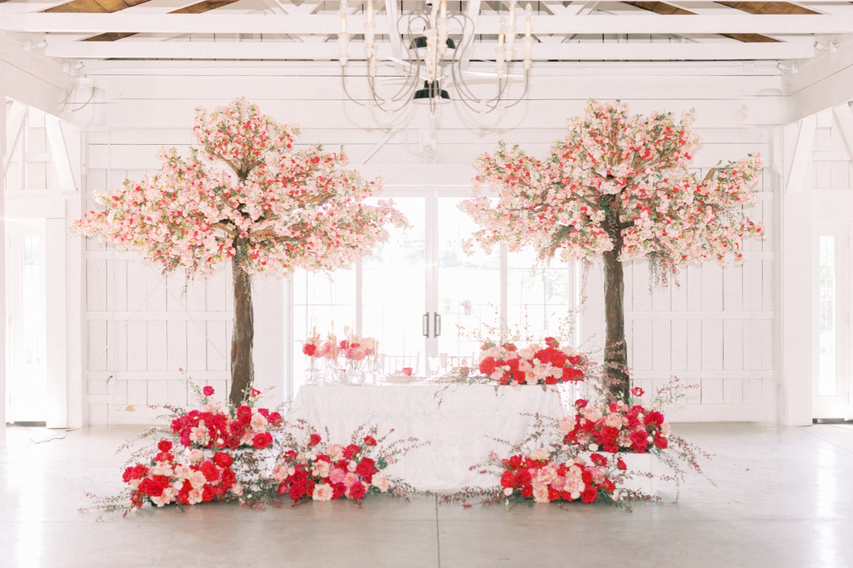 magnaarnottphotography-9336