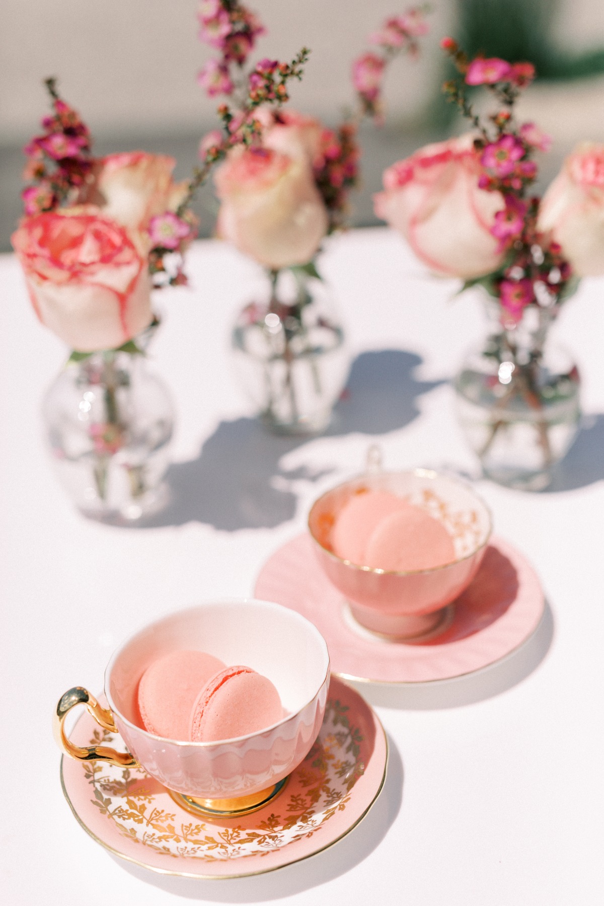 magnaarnottphotography-9485