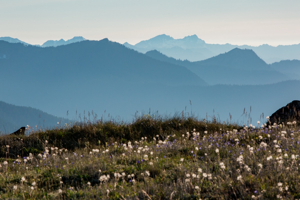 mountain-elopement-in-washington-state-3