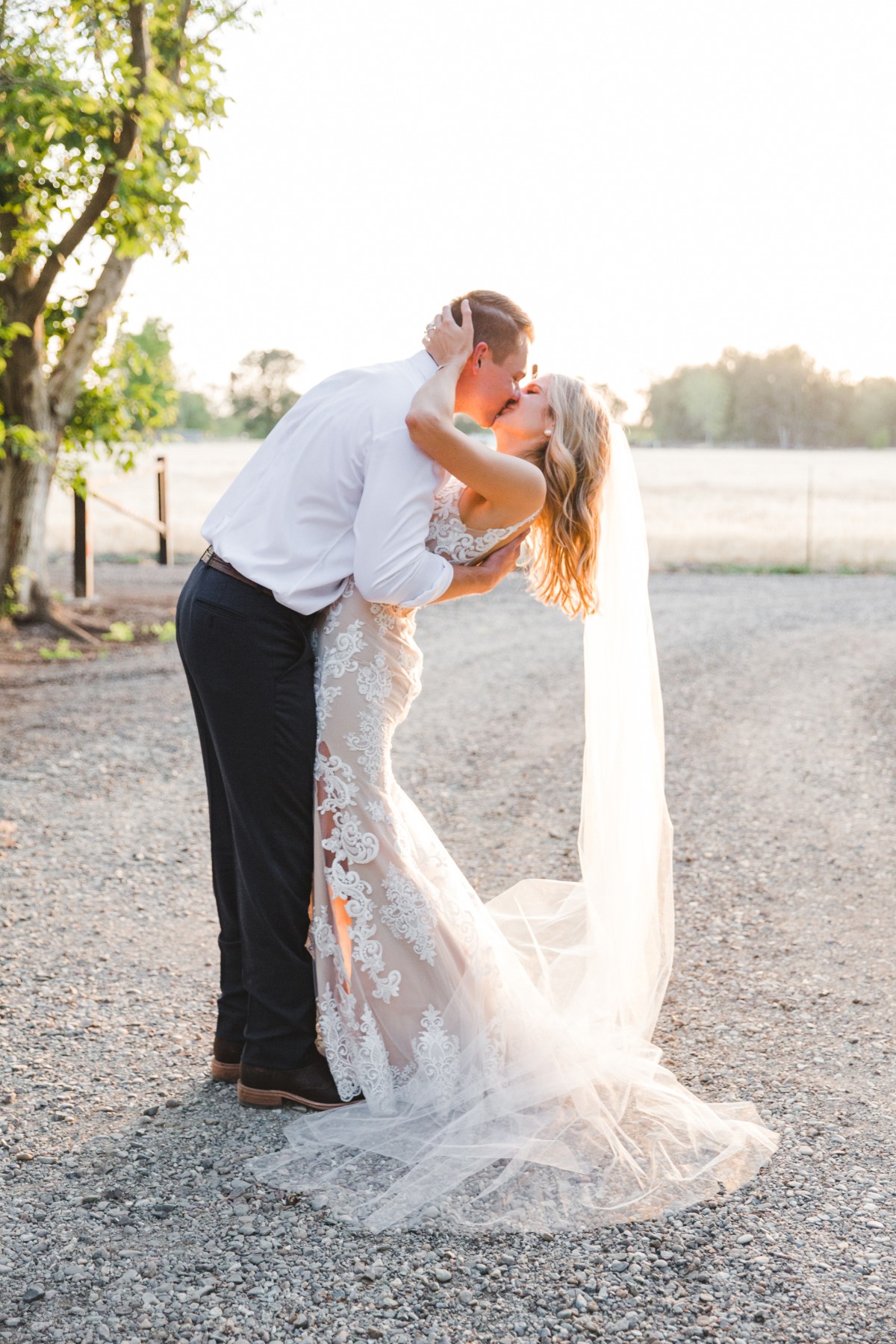 ashley-carlascio-photography-pheasant-tr
