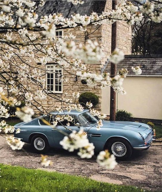 Classic blue car parked near a blooming cherry tree in front of a house
