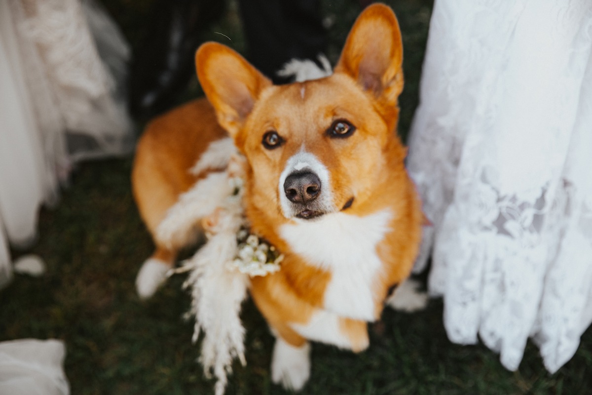 innatracnhosantafewedding-gracekade-ashg