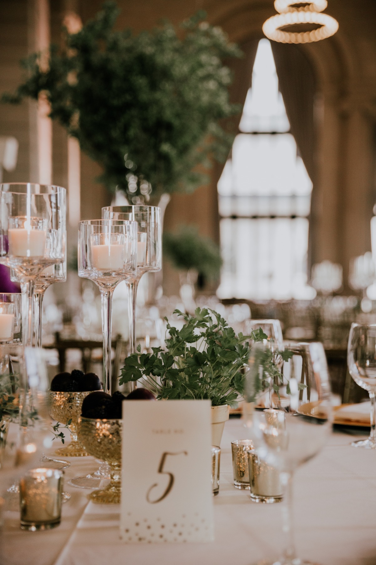 kelseyandandrew-3961