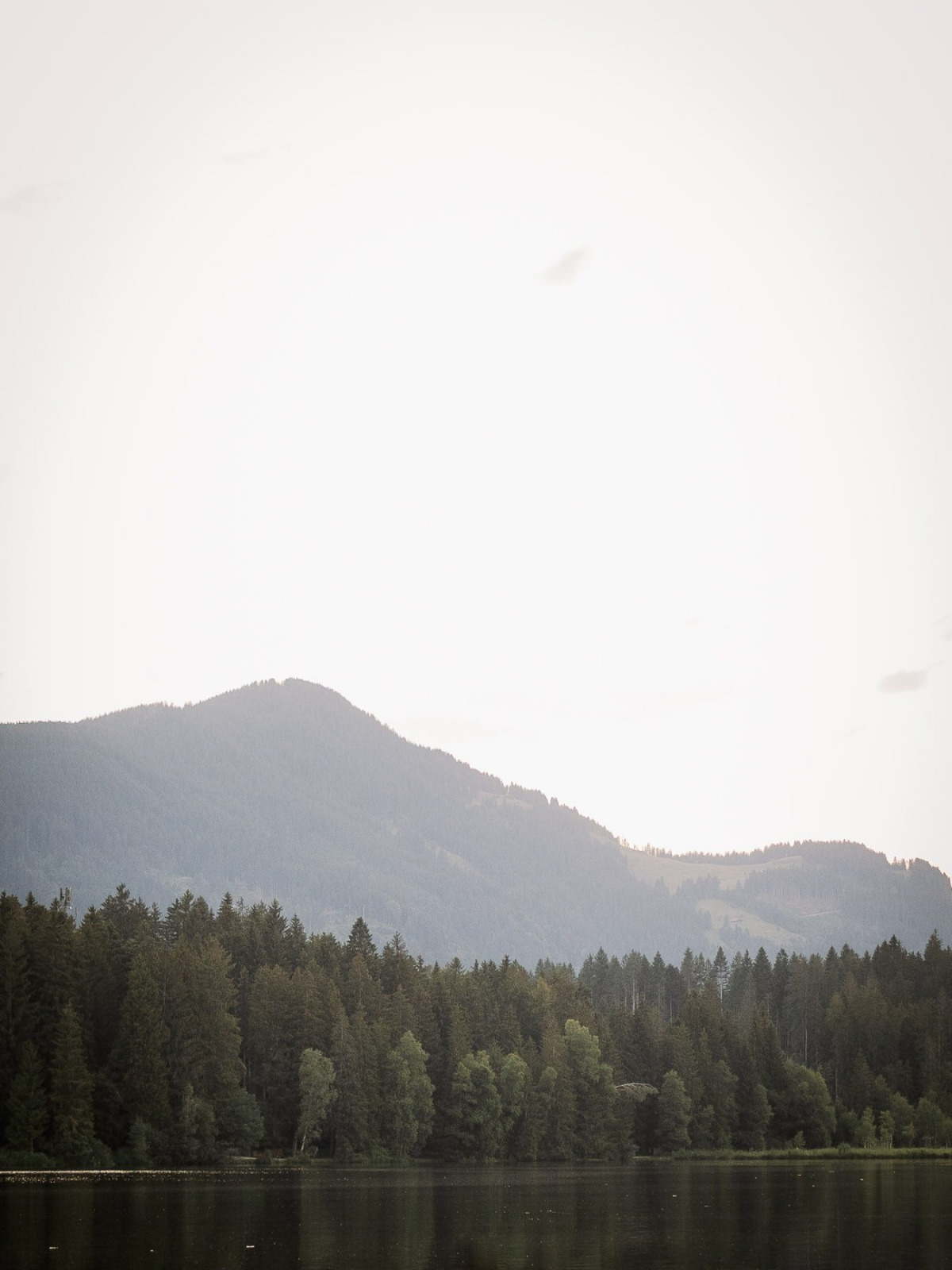 210810_202706_vsy_5117