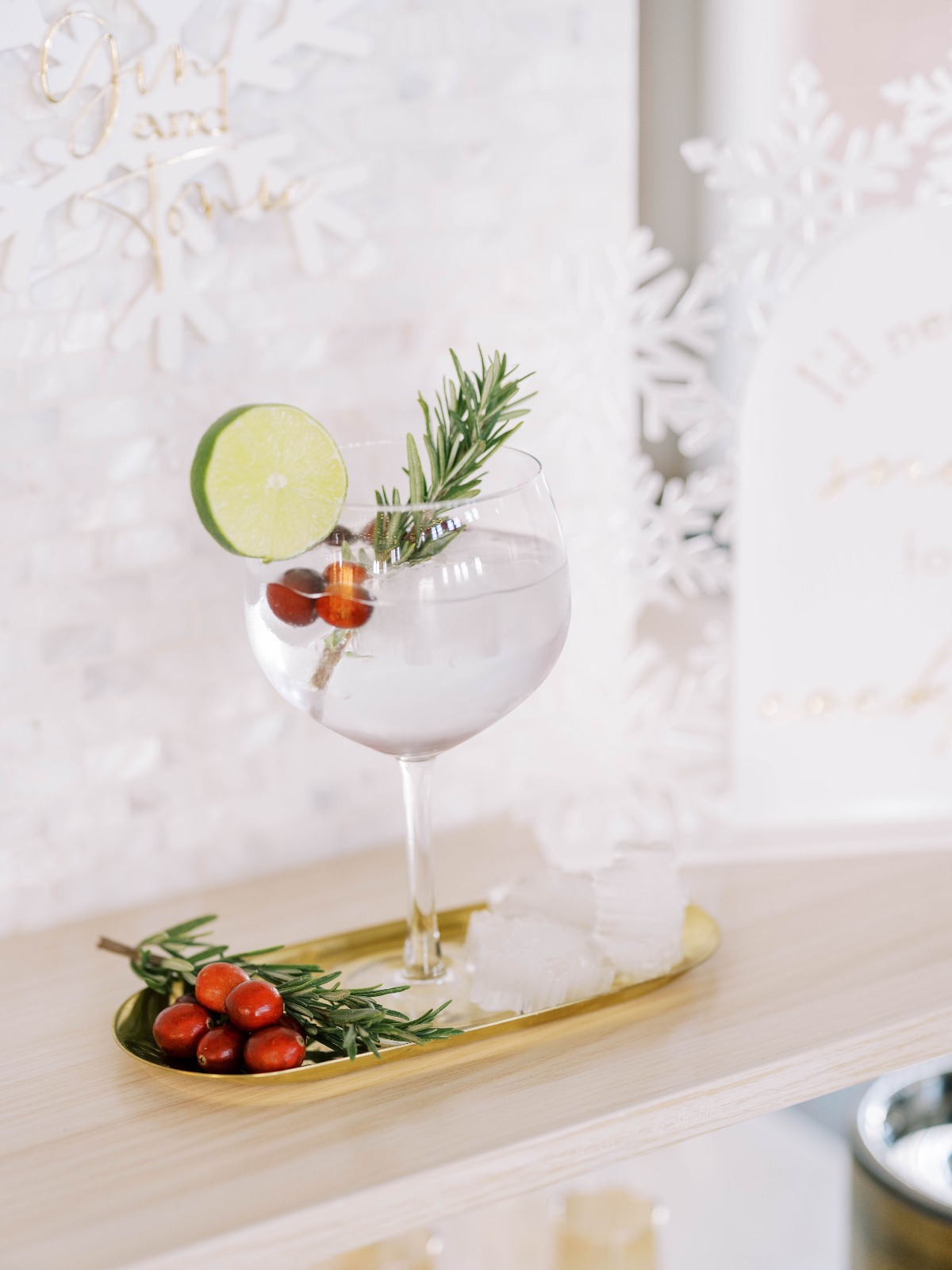 snowplacelikehome_mirellecarmichaelphoto