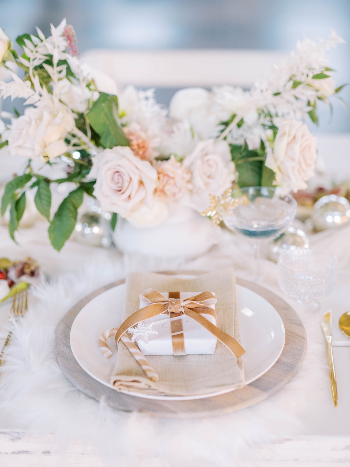 snowplacelikehome_mirellecarmichaelphoto