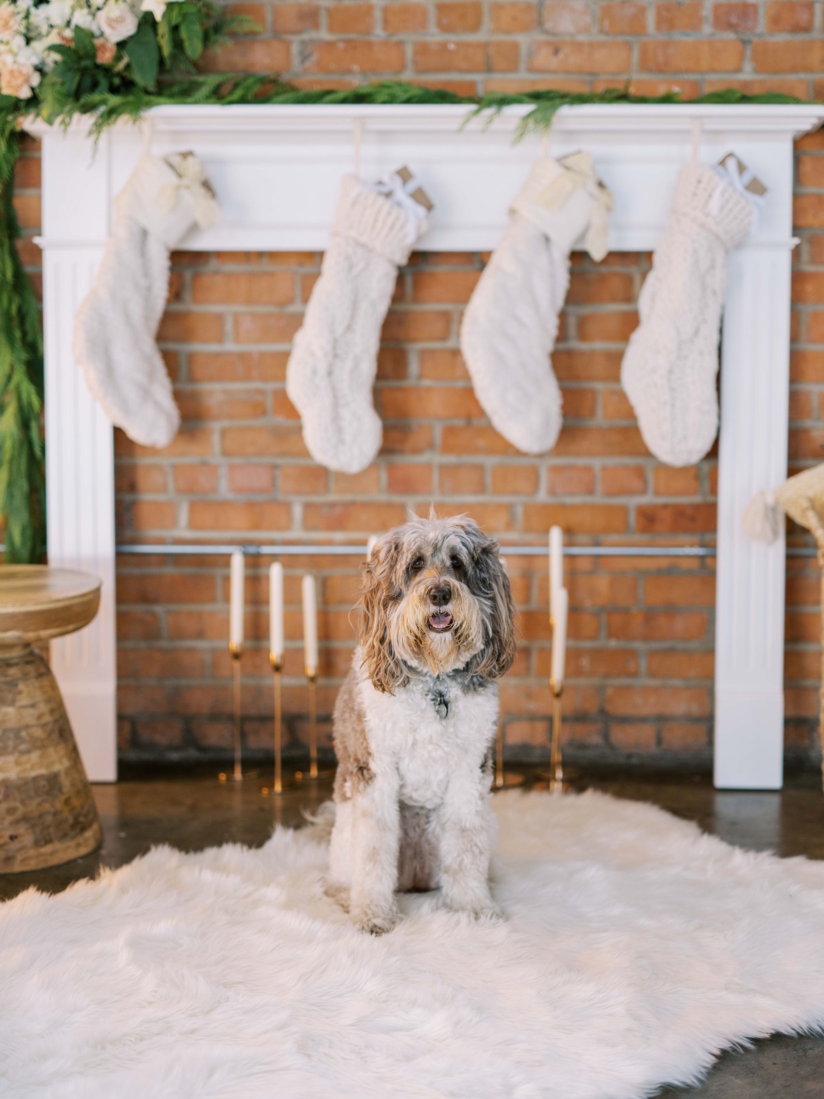 snowplacelikehome_mirellecarmichaelphoto