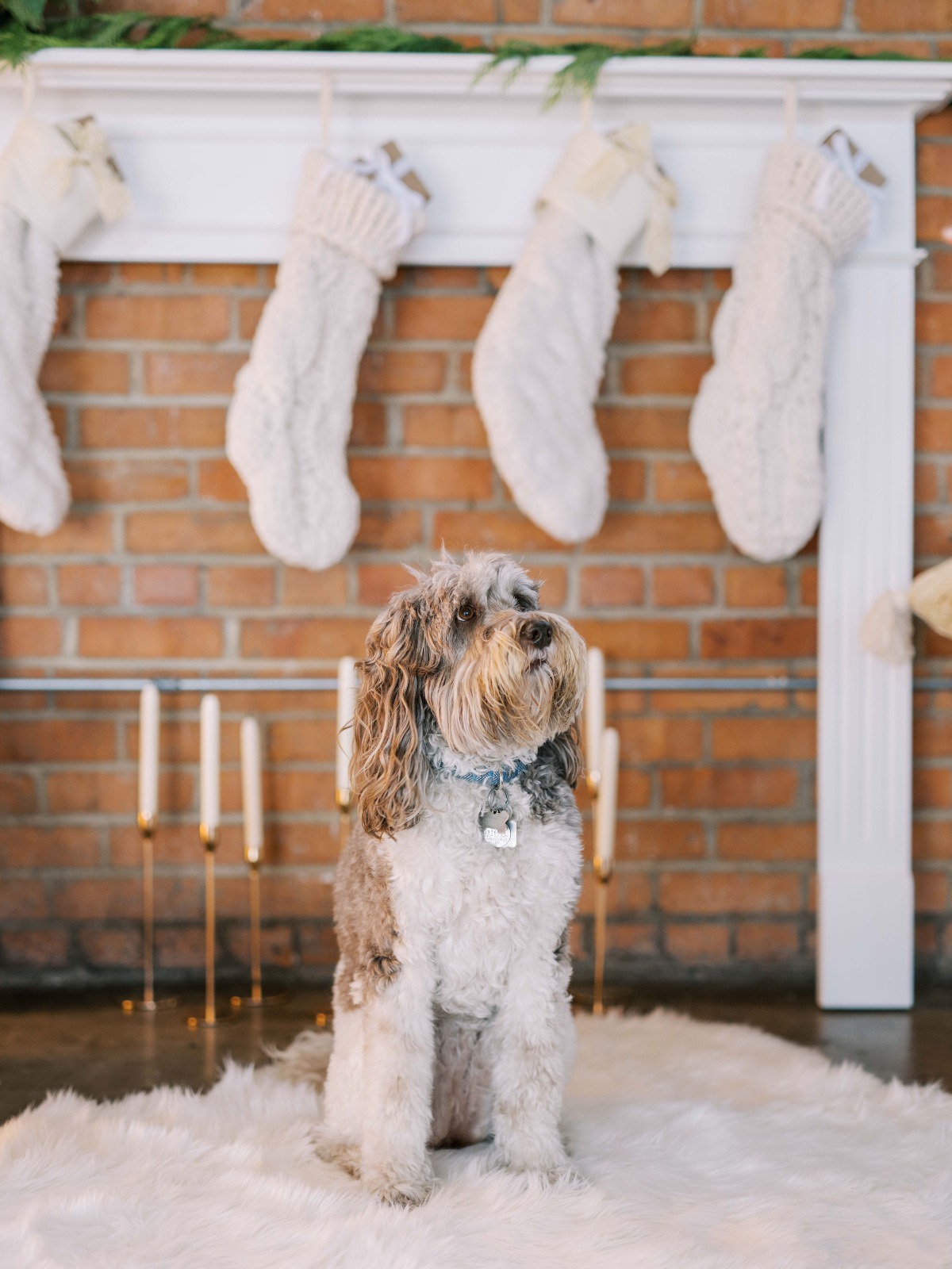 Snow Place Like Home  Styled Shoot