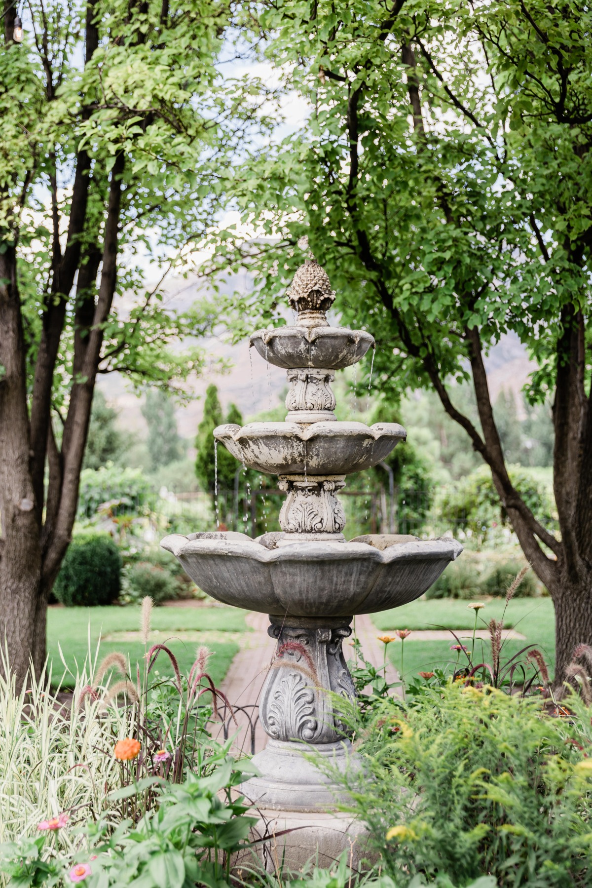 wadleyfarms-redl-lisetteocphoto-1