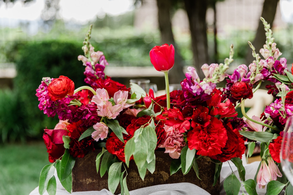 wadleyfarms-redl-lisetteocphoto-3