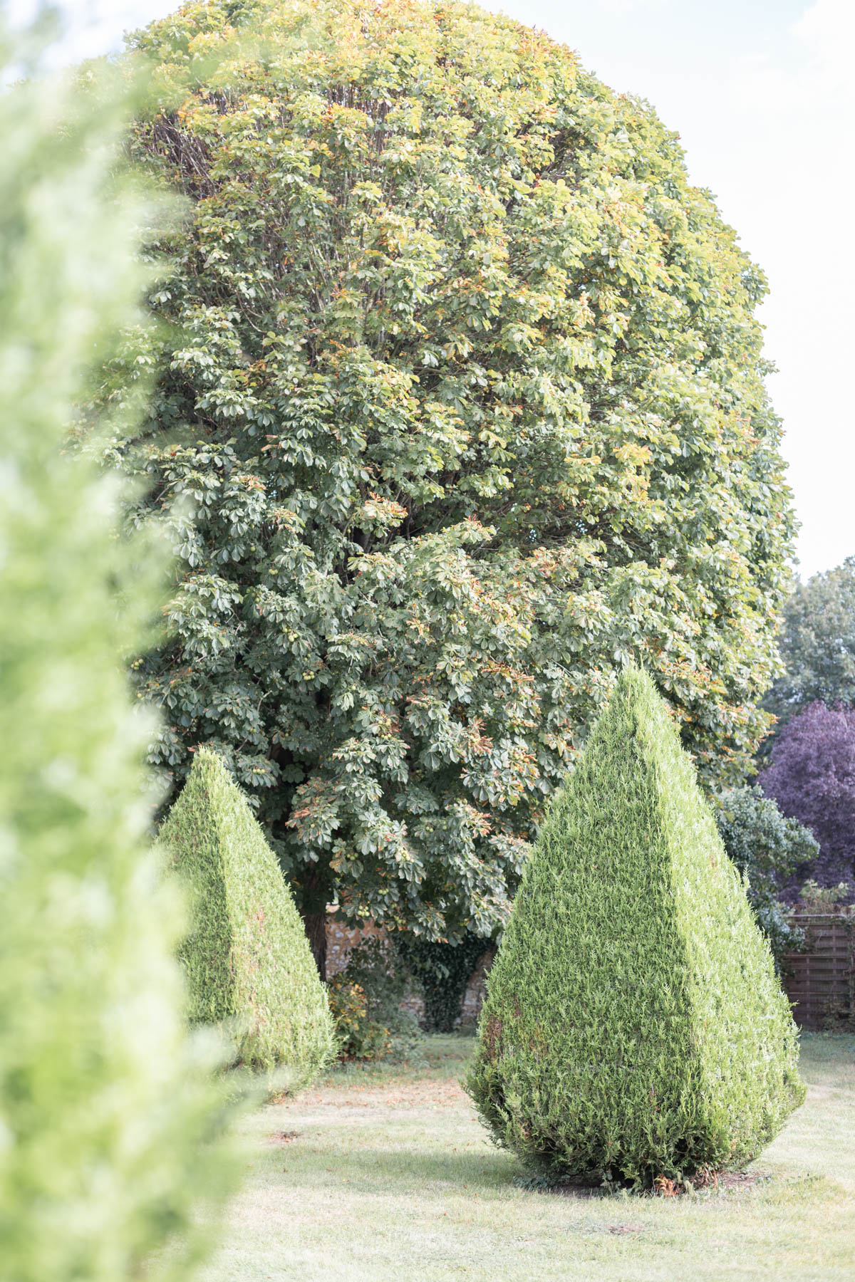 16jonathanferreira_frenchbluefineartwedd